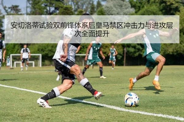 安切洛蒂试验双前锋体系后皇马禁区冲击力与进攻层次全面提升